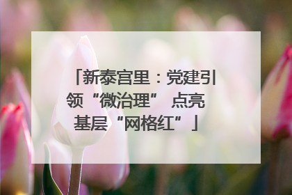 新泰宫里：党建引领“微治理” 点亮基层“网格红”