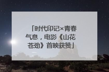 时代印记×青春气息，电影《山花苍劲》首映获赞