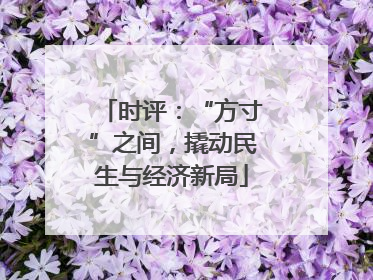 时评：“方寸”之间，撬动民生与经济新局