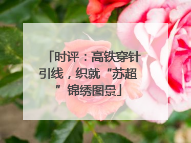 时评：高铁穿针引线，织就“苏超”锦绣图景