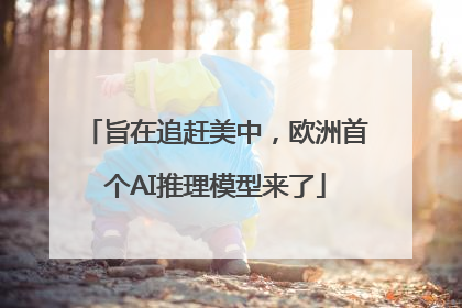 旨在追赶美中，欧洲首个AI推理模型来了