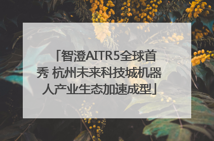 智澄AITR5全球首秀 杭州未来科技城机器人产业生态加速成型