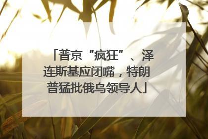 普京“疯狂”、泽连斯基应闭嘴，特朗普猛批俄乌领导人
