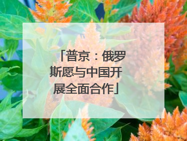普京：俄罗斯愿与中国开展全面合作
