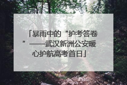 暴雨中的“护考答卷”——武汉新洲公安暖心护航高考首日