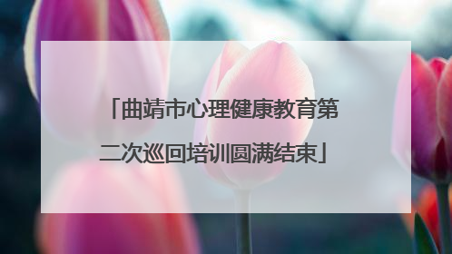 曲靖市心理健康教育第二次巡回培训圆满结束
