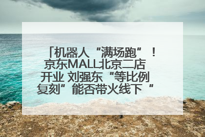 机器人“满场跑”！京东MALL北京二店开业 刘强东“等比例复刻”能否带火线下“618”？