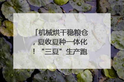 机械烘干稳粮仓，夏收夏种一体化！“三夏”生产跑出加速度｜麦报