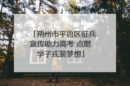 朔州市平鲁区征兵宣传助力高考 点燃学子戎装梦想