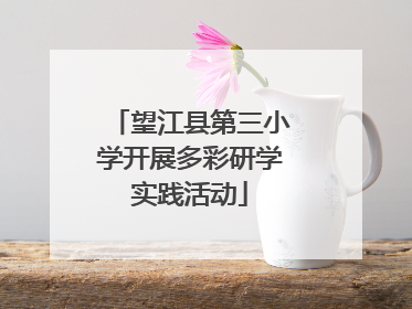 望江县第三小学开展多彩研学实践活动