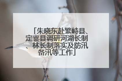 朱晓东赴繁峙县、定襄县调研河湖长制、林长制落实及防汛备汛等工作