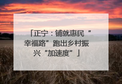 正宁：铺就惠民“幸福路”跑出乡村振兴“加速度”