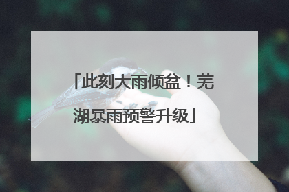 此刻大雨倾盆！芜湖暴雨预警升级