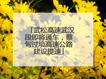 武松高速武汉段即将通车，蔡甸过境高速公路建设提速