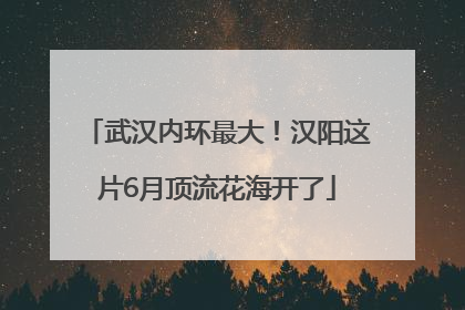 武汉内环最大！汉阳这片6月顶流花海开了