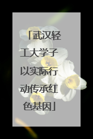 武汉轻工大学子以实际行动传承红色基因