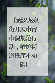武汉龙泉街开展市容市貌规范行动，维护街道秩序不动摇