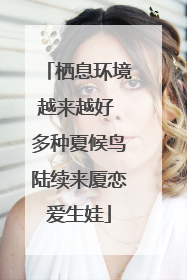 栖息环境越来越好 多种夏候鸟陆续来厦恋爱生娃