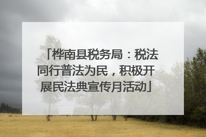 桦南县税务局：税法同行普法为民，积极开展民法典宣传月活动