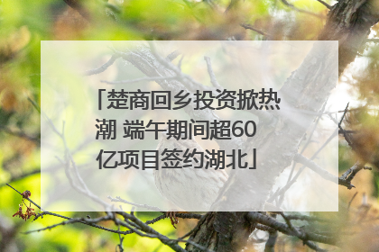 楚商回乡投资掀热潮 端午期间超60亿项目签约湖北