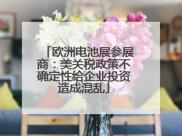 欧洲电池展参展商：美关税政策不确定性给企业投资造成混乱