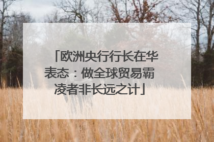 欧洲央行行长在华表态：做全球贸易霸凌者非长远之计
