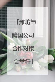 潍坊与跨国公司合作对接会举行