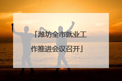 潍坊全市就业工作推进会议召开