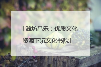 潍坊昌乐：优质文化资源下沉文化书院