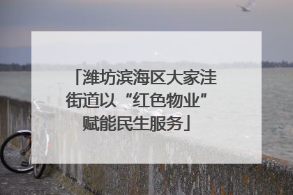 潍坊滨海区大家洼街道以“红色物业”赋能民生服务