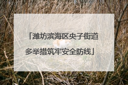 潍坊滨海区央子街道多举措筑牢安全防线