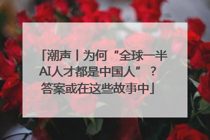 潮声丨为何“全球一半AI人才都是中国人”？答案或在这些故事中