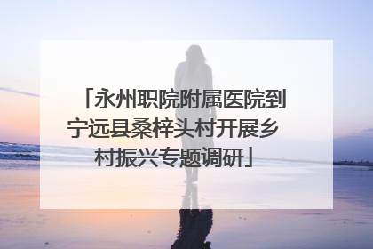 永州职院附属医院到宁远县桑梓头村开展乡村振兴专题调研