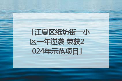 江夏区纸坊街一小区一年逆袭 荣获2024年示范项目