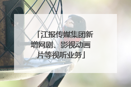 江报传媒集团新增网剧、影视动画片等视听业务