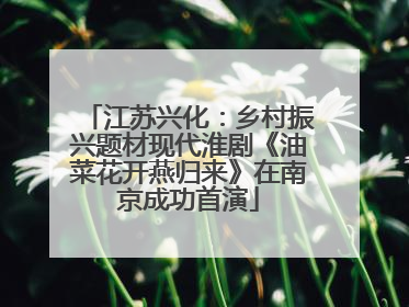 江苏兴化：乡村振兴题材现代淮剧《油菜花开燕归来》在南京成功首演