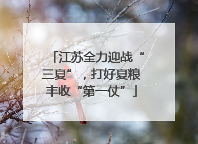 江苏全力迎战“三夏”，打好夏粮丰收“第一仗”
