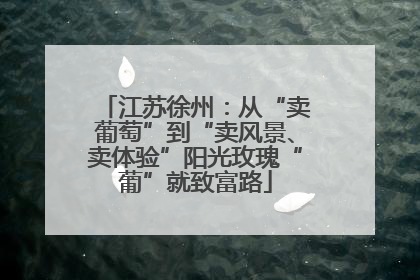 江苏徐州：从“卖葡萄”到“卖风景、卖体验”阳光玫瑰“葡”就致富路