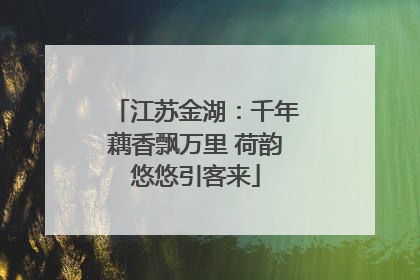 江苏金湖：千年藕香飘万里 荷韵悠悠引客来