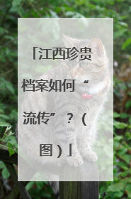 江西珍贵档案如何“流传”？（图）