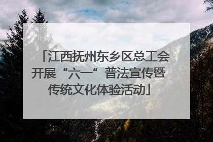 江西抚州东乡区总工会开展“六一”普法宣传暨传统文化体验活动