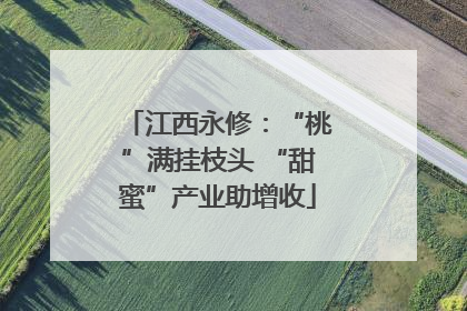 江西永修：“桃”满挂枝头 “甜蜜”产业助增收
