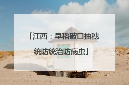 江西：早稻破口抽穗 统防统治防病虫