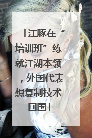 江豚在“培训班”练就江湖本领，外国代表想复制技术回国