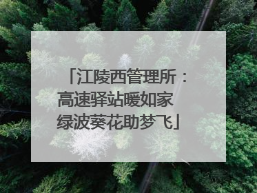 江陵西管理所：高速驿站暖如家 绿波葵花助梦飞