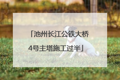 池州长江公铁大桥4号主塔施工过半