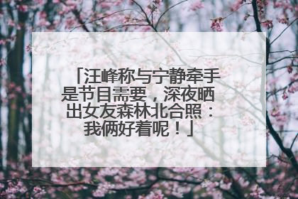 汪峰称与宁静牵手是节目需要，深夜晒出女友森林北合照：我俩好着呢！