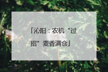 沁阳：农机“过招”麦香满仓