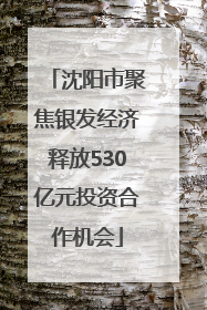 沈阳市聚焦银发经济释放530亿元投资合作机会