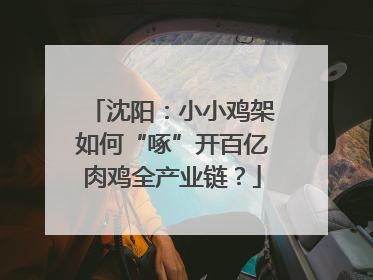 沈阳：小小鸡架如何“啄”开百亿肉鸡全产业链？